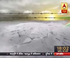 What is Pakistan's role in Armenia & Azerbaijan's war? | Matrabhumi 