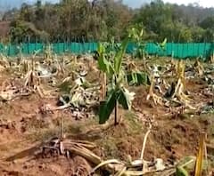 Rural News | माझं गाव माझा जिल्हा | राज्याच्या कानाकोपऱ्यातील बातम्यांचा आढावा | 21 सप्टेंबर 2020