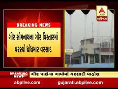 ગીર સોમનાથના ગીર વિસ્તારમાં વરસ્યો ધોધમાર વરસાદ, જુઓ વીડિયો