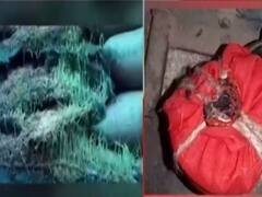 ABP News की खबर का असर, Balaghat में खराब चावल को लेकर PMO ने मांगी रिपोर्ट