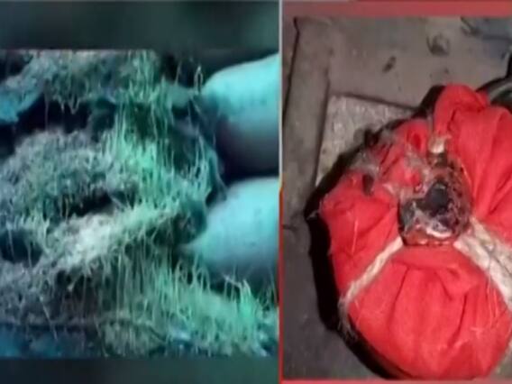 ABP News की खबर का असर, Balaghat में खराब चावल को लेकर PMO ने मांगी रिपोर्ट