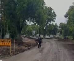 SAVE TREES | वर्धा-सेवाग्राम रस्त्याच्या चौपदरीकरणासाठी वृक्षतोड, गांधी प्रेमी, वृक्ष बचाव समितीचा वृक्षतोडीला विरोध