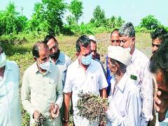 સરકારનો પાક નુકસાનનો સર્વે અને સહાય માટેની વ્યવસ્થા યોગ્ય નથીઃ પરેશ ધાનાણી