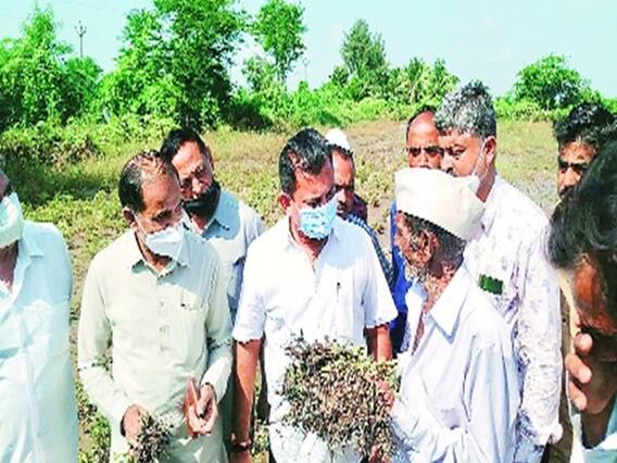 સરકારનો પાક નુકસાનનો સર્વે અને સહાય માટેની વ્યવસ્થા યોગ્ય નથીઃ પરેશ ધાનાણી