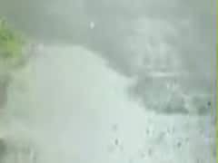 વડોદરા શહેરના નિઝામપુર,છાણી જકાતનાકા વિસ્તારમાં વરસાદ, જુઓ વીડિયો