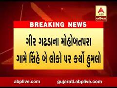 ગીર ગઢડાના મોહોબતપરા ગામે સિંહે બે લોકો પર કર્યો હુમલો, જુઓ વીડિયો