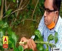 मिलिए Raebareli के 'लेमनमैन' से, जिसने छोड़ा अपना लाखों का पैकेज| Satte Pe Satta | ABP Ganga