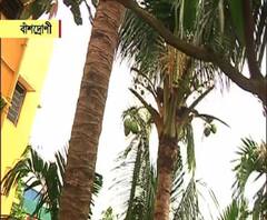 বাঁশদ্রোণীর বাড়িতে একা প্রৌঢ়া, ভূতে নাকি গাছে উঠে বসে থাকে! মুখোশ পরে ভয় দেখায়!