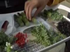 LAC पर तैनात Indian Army के लिए यह पेड़ कर रहे हैं 'संजीवनी' का काम