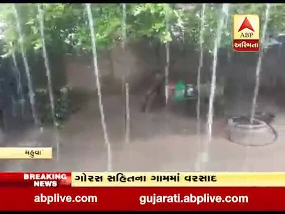 ભાવનગર જિલ્લાના મહુવા તાલુકાના ગ્રામ્ય વિસ્તારમાં વરસાદ, જુઓ વીડિયો