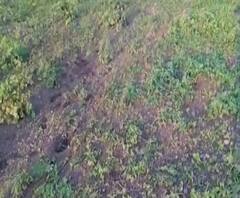 Rural News | पाटोदामधील दासखेडमध्ये अतिवृष्टी, पिकाचं नुकसान | माझं गाव माझा जिल्हा