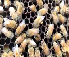 TOP 100 | देशभरातील महत्वाच्या बातम्यांचा वेगवान आढावा एका क्लिकवर | ABP Majha