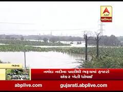 નર્મદા નદીના પાણીથી ભરૂચમાં હજારો એકર ખેતી ધોવાઈ, ખેડૂતોએ વળતરની માંગ કરી, જુઓ વીડિયો 