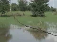 મહીસાગરમાં કડાણા ડેમમાંથી પાણી છોડાતા ખેડૂતોની હાલત કફોડી બની, જુઓ વીડિયો