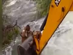 Telangana: Home Guard ने अपनी जान पर खेल कर बचाई एक कुत्ते की जान 