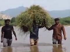 બનાસકાંઠાઃ અમીરગઢમાં બનાસ નદી કાંઠાના ગામોના લોકો જીવના જોખમે નદી પાર કરવા મજબૂર