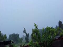 અમરેલી શહેર અને જિલ્લામાં ગાજવીજ સાથે વરસાદ, જુઓ વીડિયો