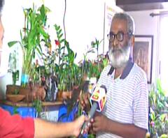 Thane Tree Man | ठाण्यातले ट्री मॅन विजय कुमार कुट्टी! घरातल्या घरात 275 रोपटी, 40 विविध प्रकारच्या फळभाज्यांची लागवड!