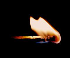 মাটি খুঁড়তেই তীব্র গতিতে উঠে এল ফুটন্ত জল! তার ওপর জ্বলে উঠল আগুন! গোপালনগরে ছড়াল আতঙ্ক 