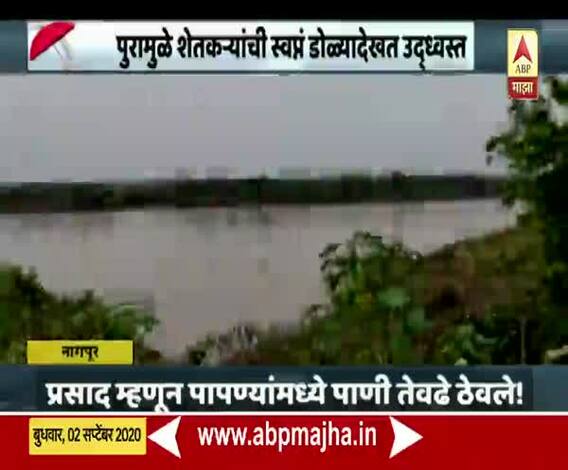 Special Report | नागपुरात पुरामुळे शेतकऱ्यांची स्वप्न डोळ्यांदेखत उद्ध्वस्त 