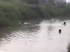 જામનગરના કાલાવડના કાલ મેઘડા ગામે ડૂબી જવાથી ત્રણ બાળકોના મૃત્યુ, જુઓ વીડિયો