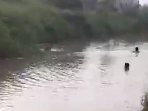 જામનગરના કાલાવડના કાલ મેઘડા ગામે ડૂબી જવાથી ત્રણ બાળકોના મૃત્યુ, જુઓ વીડિયો