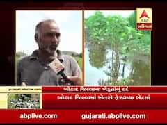 સતત વરસાદના કારણે બોટાદ જિલ્લામાં ખેતરો ફેરવાયા બેટમાં, પાકને મોટું નુકસાન, જુઓ વીડિયો 