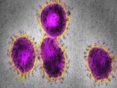 क्या चश्मा पहनने वालों को कोरोना का खतरा कम है? 