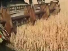 Karnal: इस बार स्ट्रा मैनेजमेंट सिस्टम से करनी होगी कटाई