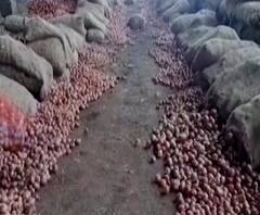 Onion Price | सोलापुरात कांद्याचे दर एक हजार रुपयांनी घसरले, शेतकरी आणि व्यापाऱ्यांचं नुकसान