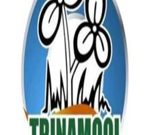 ঘর পাইয়ে দেওয়ার নামে কাটমানি চাওয়ার অভিযোগ মালদা তৃণমূল পঞ্চায়েত প্রধানের বিরুদ্ধে