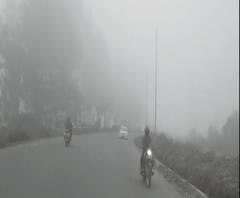 गर्मी में भी ठंड का एहसास, हरिद्वार में छाया घना कोहरा। Haridwar News