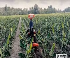 Kashipur: मिलिए, पहाड़ पर केले उगाने वाले 'हुड्डा ब्रदर्स' से| Satte Pe Satta| ABP Ganga