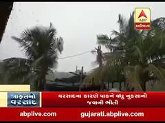 ગીર સોમનાથ જિલ્લાના ગ્રામ્ય વિસ્તારમાં વરસાદ, જુઓ વીડિયો