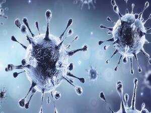 आज 50 लाख के पार जा सकता है देश में कोरोना संक्रमितों का आंकड़ा | Namaste Bharat (16.09.2020)