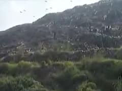 18 કલાક બાદ પણ અમદાવાદના પીરાણાના કચરાના ઢગલામાં દટાયેલી બાળકીનો કોઇ પત્તો નહીં