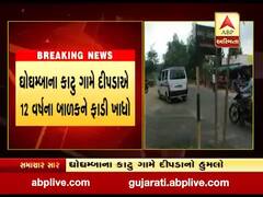 પંચમહાલ જિલ્લાના ઘોઘમ્બાના કાટુ ગામે દીપડાએ 12 વર્ષના બાળકને ફાડી ખાધો, જુઓ વીડિયો