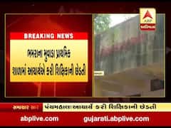 પંચમહાલ: ભમરાના મુવાડા પ્રાથમિક શાળામાં આચાર્યએ કરી શિક્ષિકાની છેડતી, જુઓ વીડિયો