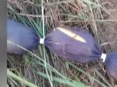 Watch Top 25 stories of the day in 4 minutes