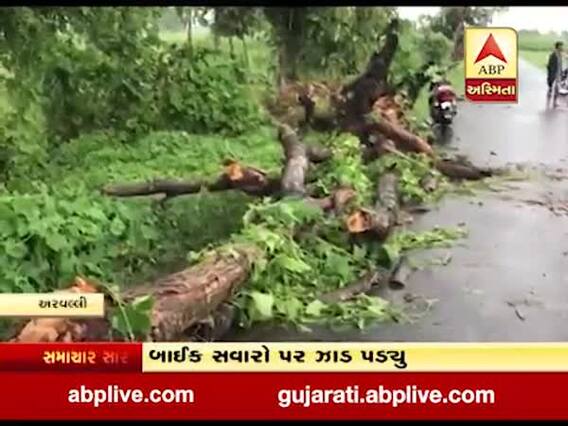 અરવલ્લીના મોડાસાના રાજલી પાસે ઝાડ નીચે ચાર લોકો દબાયા,જુઓ વીડિયો