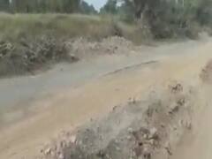 બહુચરાજીથી હારીજ વચ્ચે બનાવેલો રસ્તો બન્યો બિસ્માર, રસ્તાના સમારકામ પર ઉઠ્યા સવાલ