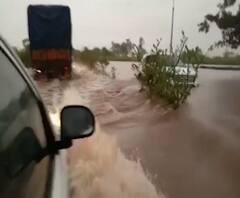 #MahaFloods परतीच्या पावसाचा सलग तिसऱ्या दिवशी तडाखा, सोलापूर, पंढरपूर, सांगली,साताऱ्यात मोठं नुकसान