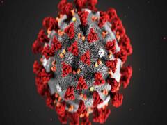 Indian Medical Association raises question on Covid's ayurvedic 'treatment'