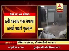 સુરત ગ્રામ્યના કેટલાક વિસ્તારમાં ધોધમાર વરસાદ, જુઓ વીડિયો 