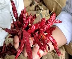 Nanded | लाल मिरचीचे भाव वधारले, मिरची पावडरला किलोमागे 300 रुपयांचा दर, ग्राहकांना 'ठसका'