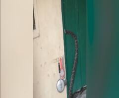 बुलंदशहर : घर में अजगर घुसने से अफरा-तफरी