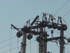 પોરબંદરના ખેડૂતો બન્યા PGVCLની લાલિયાવાડીનો ભોગ, જુઓ વીડિયો