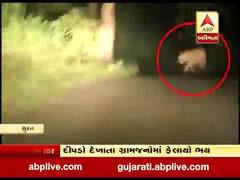 સુરતઃ મહુવા તાલુકામાં દેખાયો દીપડો, ગ્રામજનોમાં ભયનો માહોલ