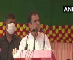 ‘ওঁর মতো মিথ্যা বলতে পারি না,’ বিহারে নির্বাচনী জনসভায় মোদিকে কটাক্ষ রাহুলের