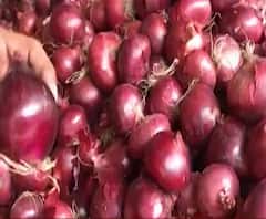 अतिवृष्टीमुळे राज्यातील कांद्याचं मोठं नुकसान, वाशी APMC मध्ये इराणचा कांदा दाखल, राज्यात कांद्याला दर 65 ते 70 रुपये किलो